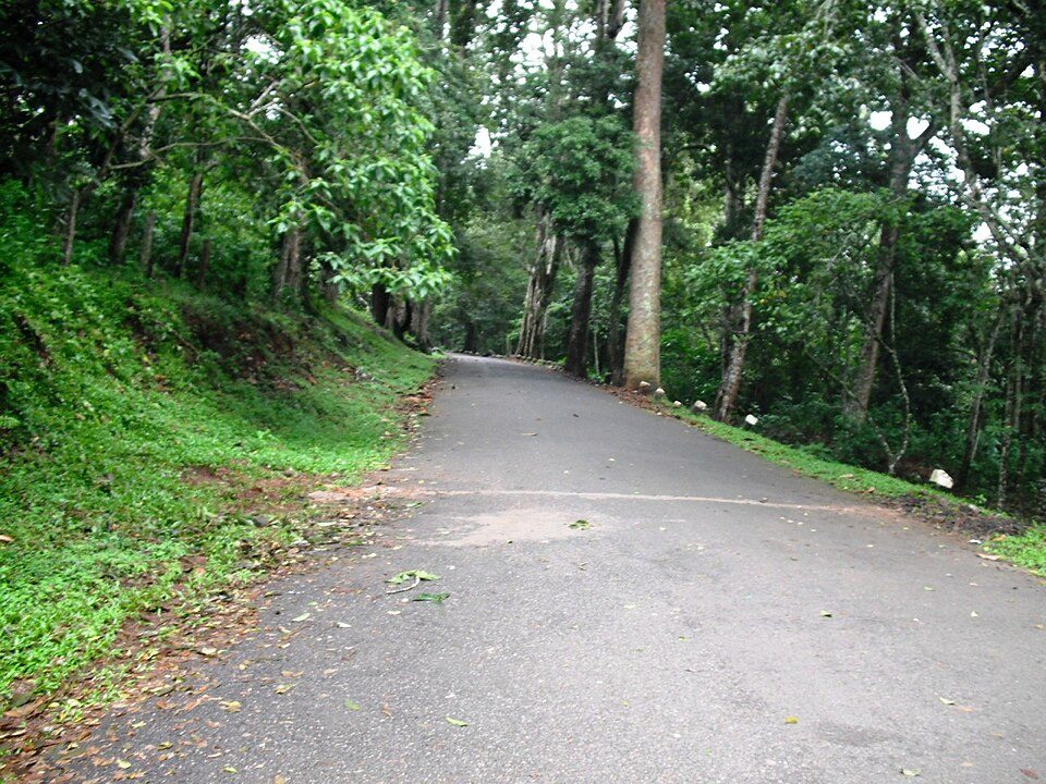 Forest landscape at Periyar Tiger Reserve near Kumily and Thekkady Kerala